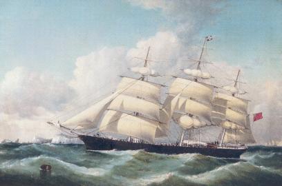 Willis Tea Line Clipper