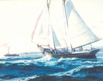 ALICE KIMBALL off San Francisco