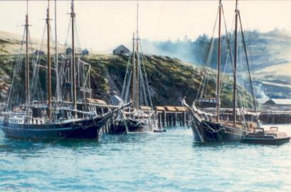 Lumber Schooners at Albion River Wharf