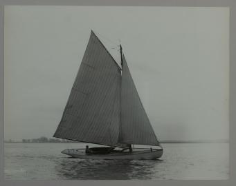 Original Stebbins Photograph Number 6045- SPINSTER