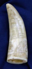 American Scrimshaw Whales Tooth