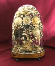 Victorian Oval Dome Case Shell Work - Bouquet With Ship In Harbor