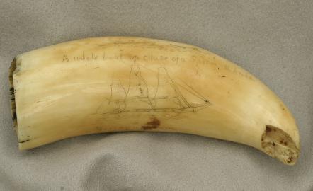 Early Scrimshawed Whale Tooth - Ship SERINGAPATAM, Whale Boat & Chase