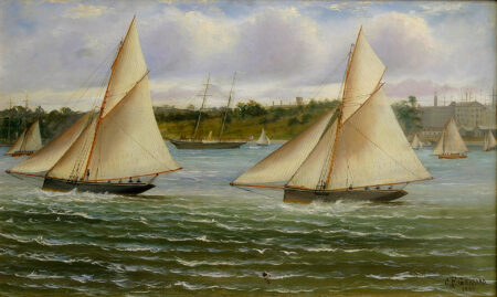 Regatta in Sydney Harbour