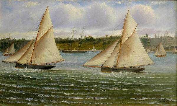 Regatta in Sydney Harbour
