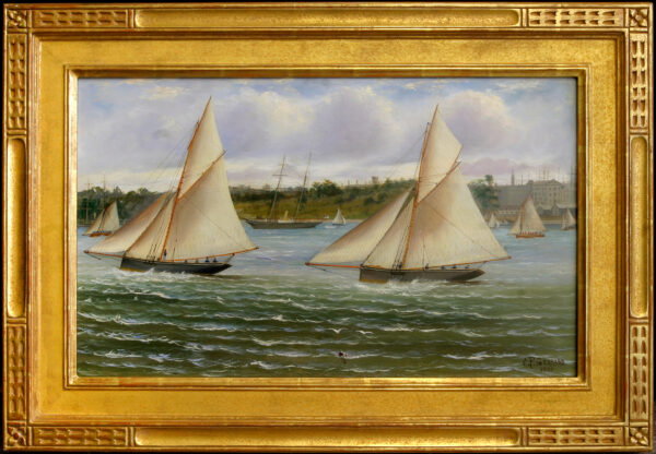 Regatta in Sydney Harbour - Image 2