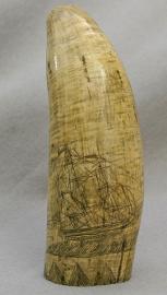 Scrimshaw Whales Tooth, American Whaling Scene