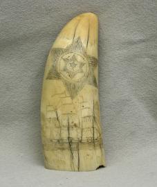 American Scrimshaw Whales Tooth with Star, Ship, Anchor and Flags
