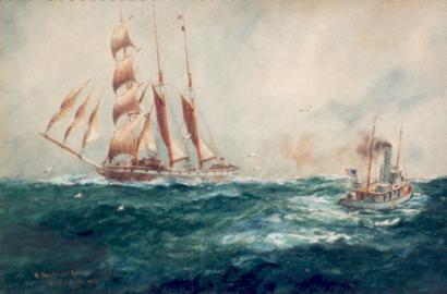 A French Cod Fisher