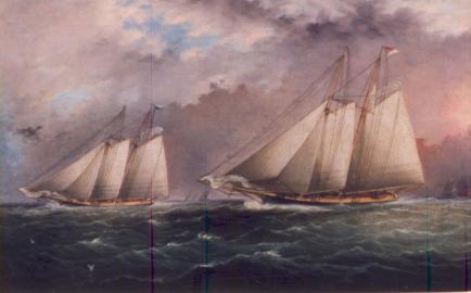 Yachts Racing Around Sandy Hook