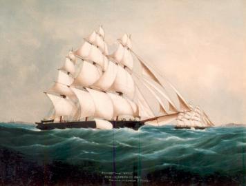 The Great Tea Race