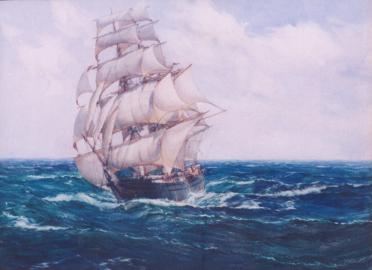 Before the Wind