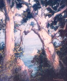 Through the Trees