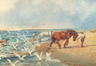 Newport Beach Drag Fishers