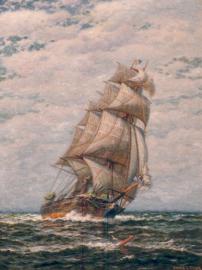 Under Full Sail