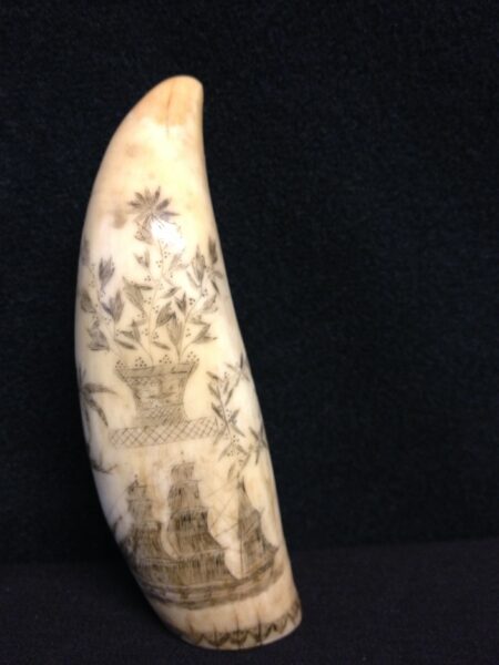 Scrimshaw Whale's Tooth with Ship, Basket of Flowers and Memorial