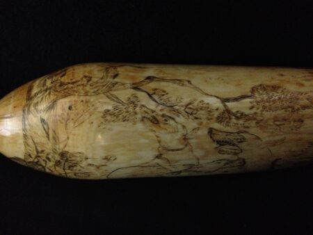 Scrimshaw Tooth of a Pack of Dogs