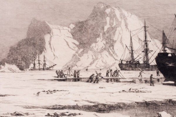 Whale Ships Grounded for the Winter - Image 5