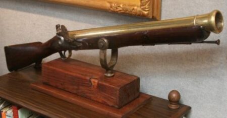 Brass Barrel Rail Blunderbuss by Ward