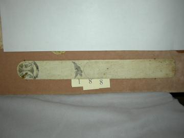 Bone Busk of Larger Size