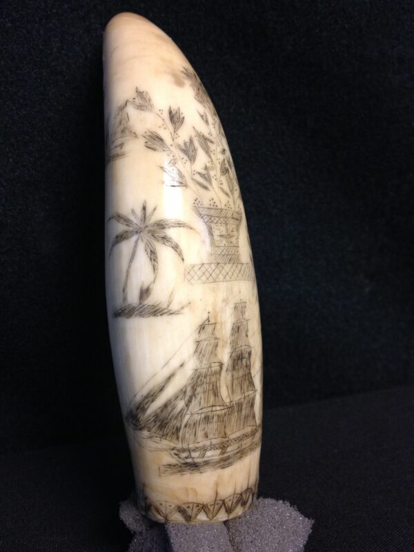 Scrimshaw Whale's Tooth with Ship, Basket of Flowers and Memorial - Image 3