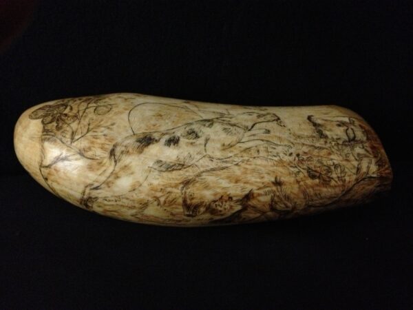 Scrimshaw Tooth of a Pack of Dogs - Image 2
