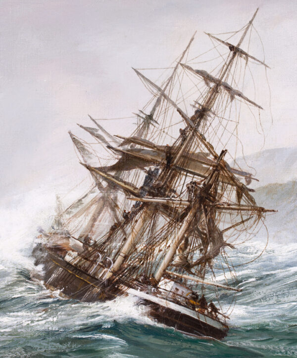 Ship Driving Onto the Aucklands - Image 6