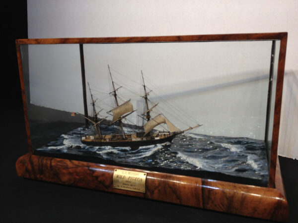 Clipper WILD PIGEON Miniature Cased Model - Image 8