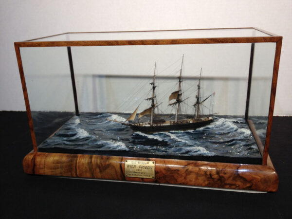 Clipper WILD PIGEON Miniature Cased Model - Image 7