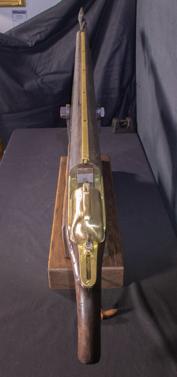 Rare Greener Percussion Whaling Harpoon Gun - Image 5