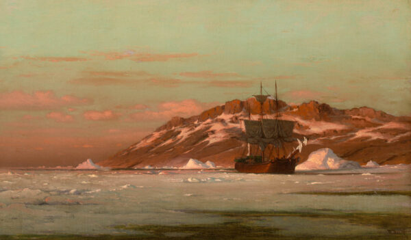 American Whaler in Arctic Waters - Image 6