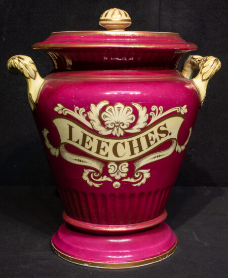 Rare Staffordshire Pottery Leeches Jar by Alcock
