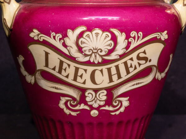 Rare Staffordshire Pottery Leeches Jar by Alcock - Image 10