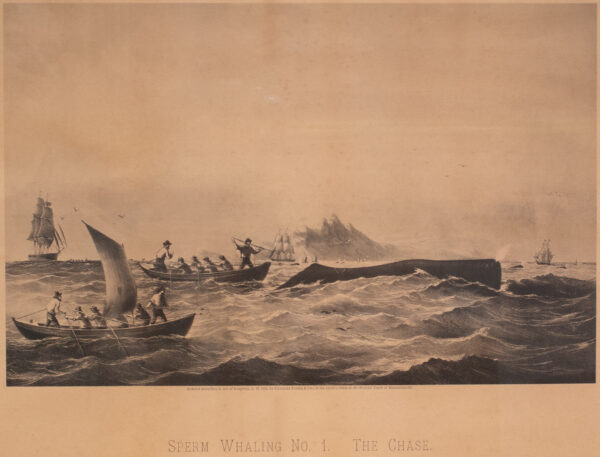 Sperm Whaling No 1-The Chase Lithograph - Image 3