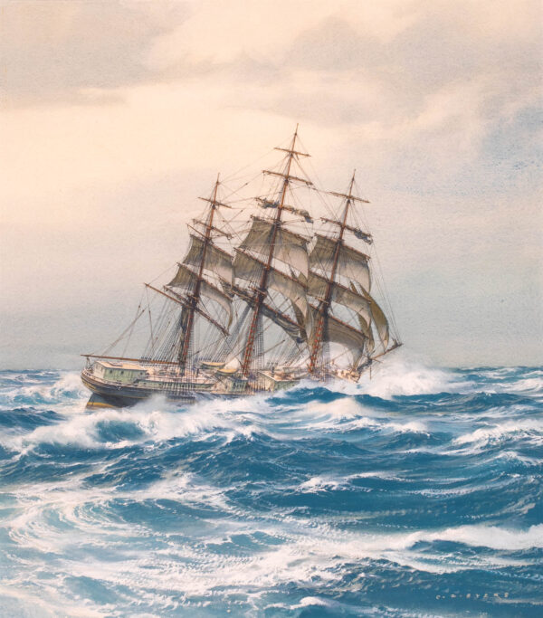 GLORY OF THE SEAS - Image 2
