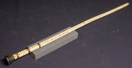 Shark Vertebrae Cane