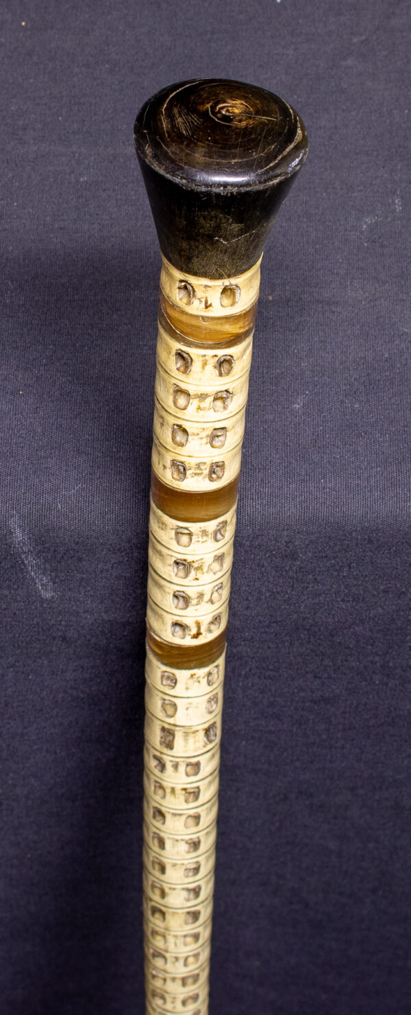 Shark Vertebrae Cane - Image 4