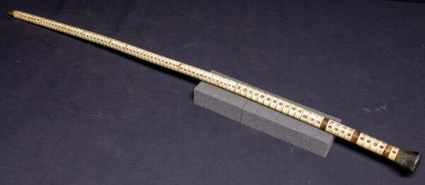 Shark Vertebrae Cane - Image 2